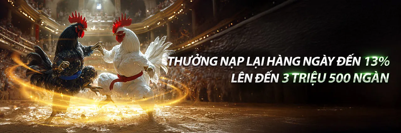 Sảnh Đá gà b66 win